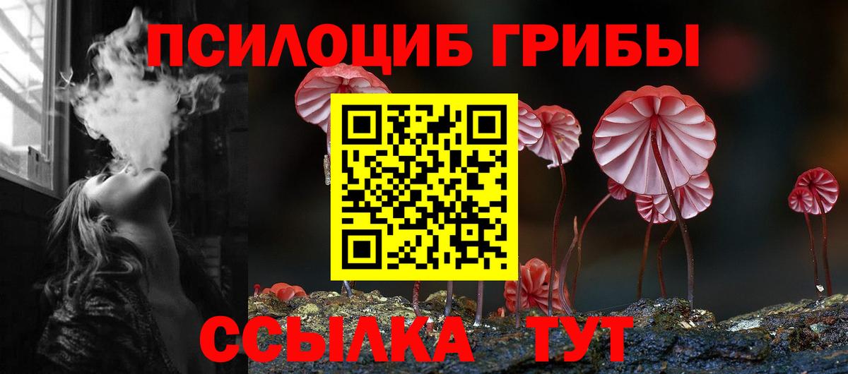Псилоцибиновые грибы Psilocybe Керчь