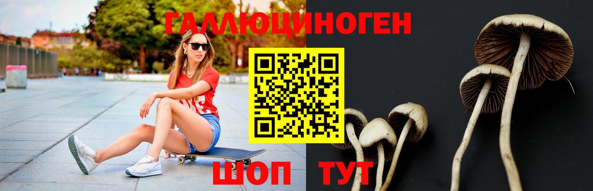 Керчь  Псилоцибиновые грибы Magic Shrooms  Вход с VPN 